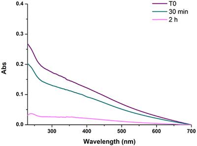 Hexamethylenediamine-Mediated Polydopamine Film Deposition: Inhibition by Resorcinol as a Strategy for Mapping Quinone Targeting Mechanisms